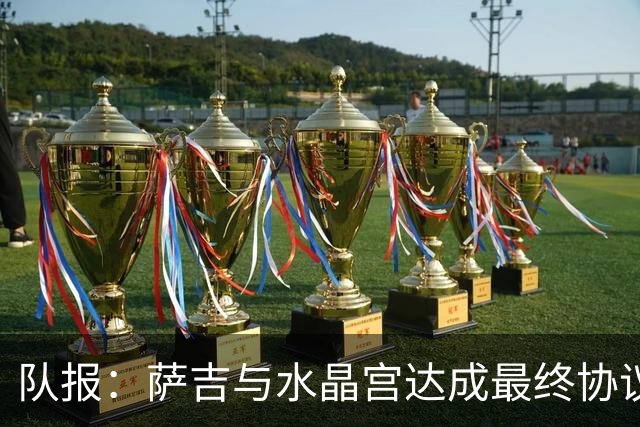 队报：萨吉与水晶宫达成最终协议，签约3+1年